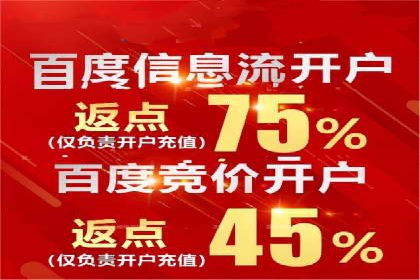 SEM服务案例：打造行业领先品牌